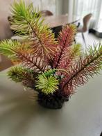 Kunstplantje voor aquarium, Ophalen of Verzenden, Minder dan 100 cm