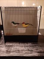 Vogelkooi decoratie, Ophalen, Gebruikt, Hout, Vogelkooi