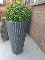 Bloempot met kunst buxus, Ophalen, Tuin, Kunststof, Minder dan 60 cm