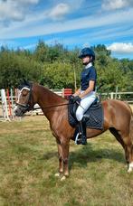 Lieve kinderpony/bixie pony van 1.34, Dieren en Toebehoren, Pony's, Merrie, B, Gechipt, Springpony