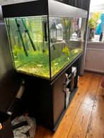 Aquarium. 120cm x 50cm x 70cm, Dieren en Toebehoren, Ophalen
