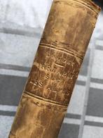 Tartarin sur les Alpes / Alphonse Daudet  1886 1e druk, Antiek en Kunst, Antiek | Boeken en Bijbels, Ophalen of Verzenden