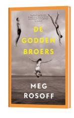 Zomerdrieluik 1 - De Godden broers, Ophalen of Verzenden, Gelezen