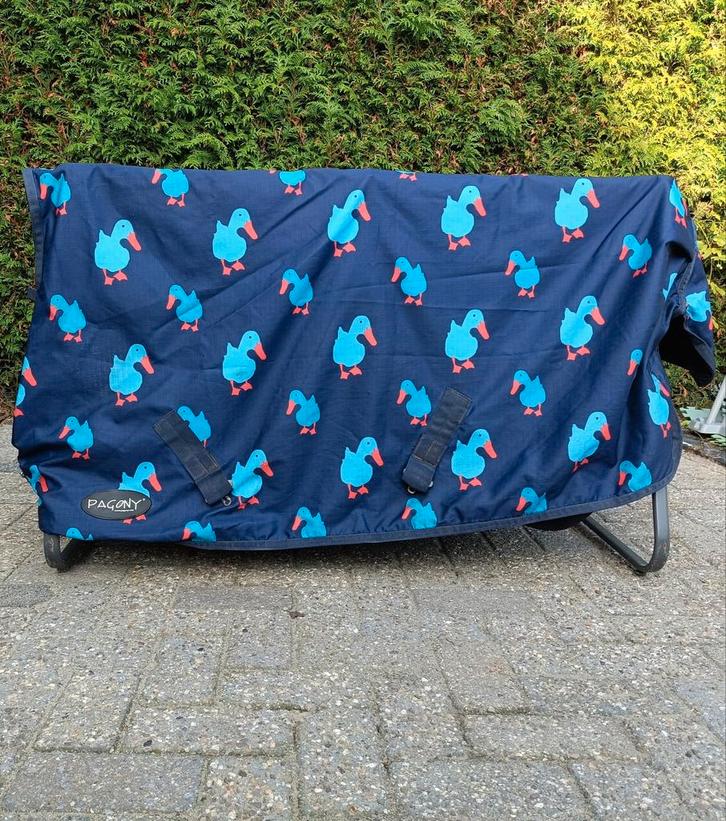 Pagony regendeken, Dieren en Toebehoren, Paarden en Pony's | Dekens en Dekjes, Zo goed als nieuw, Ophalen of Verzenden