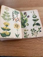 Vintage verzameling: Scheerapparaten, etui, boekjes & brille, Antiek en Kunst, Ophalen of Verzenden