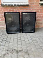 2 pa speakers 350w rms (BIRD), Muziek en Instrumenten, Versterkers | Keyboard, Monitor en PA, Ophalen, Gebruikt, P.A.