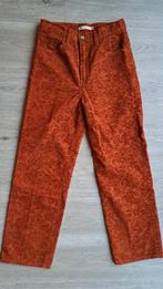 Levis ribcadge straight ankle,
Maat 27-29,
Zgan 1x gedragen!, Bruin, Ophalen of Verzenden, Zo goed als nieuw, Maat 36 (S)