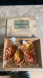 Goud beschilderde oesters, Ophalen, Nieuw