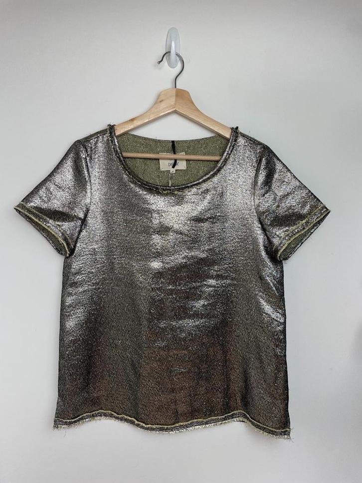 Diega zilveren lamé top metallic met geel maat M, Kleding | Dames, Tops, Zo goed als nieuw, Maat 38/40 (M), Overige kleuren, Korte mouw