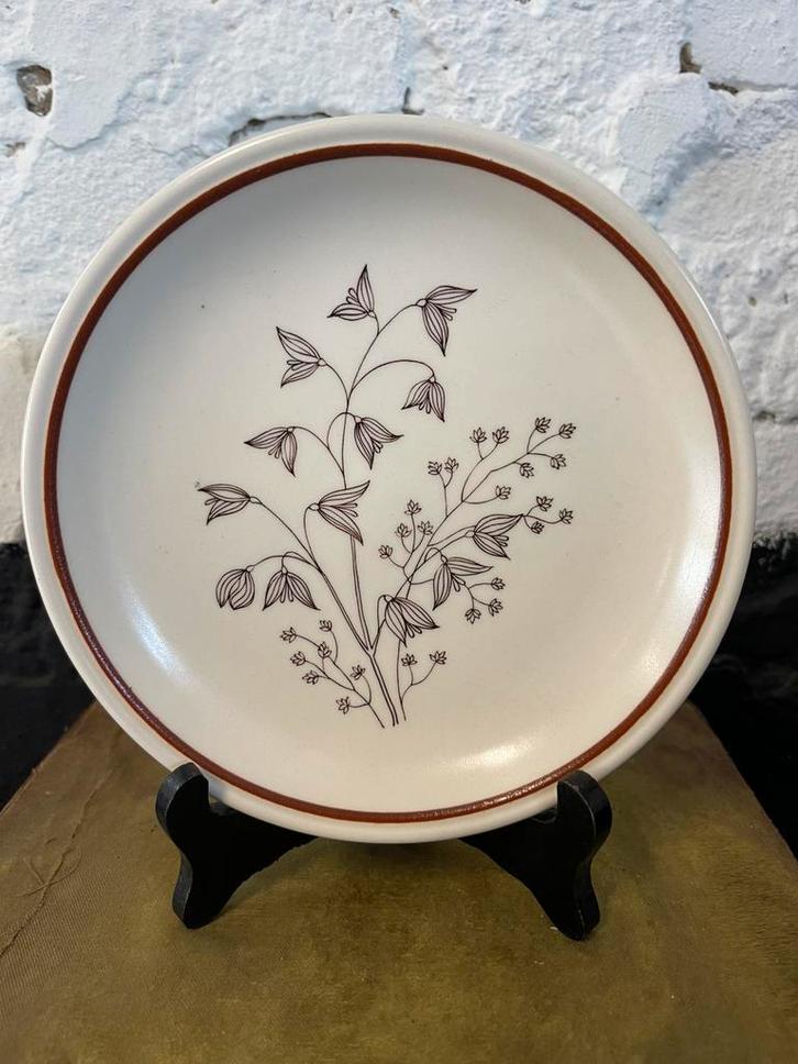 Set 6 vintage seventies ontbijtborden Biltons England, Huis en Inrichting, Keuken | Servies, Gebruikt, Bord(en), Overige stijlen