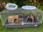 Caviahok 55x95 met toebehoren, Dieren en Toebehoren, Knaagdieren en Konijnen | Hokken en Kooien, Kooi, Gebruikt, 75 tot 110 cm
