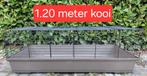 1.20 meter kooi, Kooi, 110 cm of meer, Cavia, Zo goed als nieuw