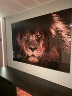 Leeuw schilderij op glas, Ophalen of Verzenden, Zo goed als nieuw, Schilderij, 50 tot 75 cm
