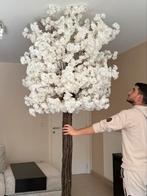 Bloesemboom, Ophalen, Zo goed als nieuw, Binnen