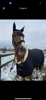 Kentucky deken, Dieren en Toebehoren, Paarden en Pony's | Hoofdstellen en Tuigage, Ophalen of Verzenden, Zo goed als nieuw