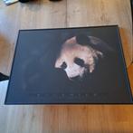 Ingelijste Panda Poster - 81x61 cm, Ophalen, Zo goed als nieuw, 75 tot 100 cm, Foto of Poster