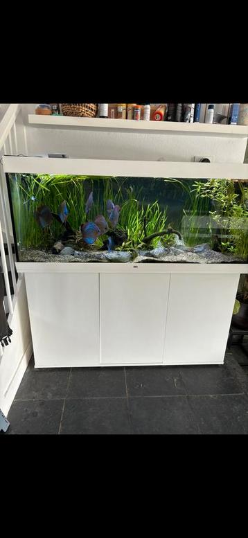 Aquarium beschikbaar voor biedingen
