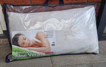 Kussen Aloë Vera beschikbaar voor biedingen