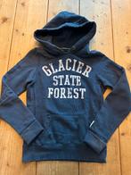 Miss America trui maat XS, Blauw, Ophalen of Verzenden, Zo goed als nieuw, Miss America