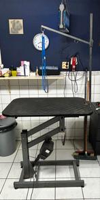 Ravenstein elektrische trimtafel, Ophalen, Gebruikt