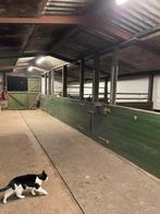 Box vrij op all in  pensionstal, Dieren en Toebehoren, Weidegang, 1 paard of pony