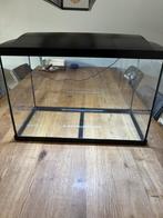 Superfish start 70, Dieren en Toebehoren, Vissen | Aquaria en Toebehoren, Ophalen, Gebruikt, Leeg aquarium