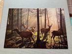 Herten in bos, schemering, Ophalen of Verzenden, 1980 tot heden, Wild dier