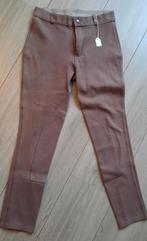 Paardrijbroek maat 36 2XS Főuganza, Ophalen of Verzenden, Zo goed als nieuw, Onderkleding