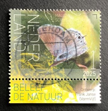 Postzegel Nederland 2025 Vlinder St Eustatius Mallow S Hairs beschikbaar voor biedingen