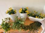 Kunstplanten & Bloemen Set, Ophalen, Zo goed als nieuw, Binnen