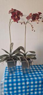2 Kunst Orchideeën in Aluminium Potten, Ophalen, Overige soorten, Halfschaduw, In pot