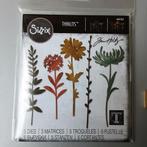 Tim Holtz Thinlits 664163 5 bloemen dies Sizzix euro 15,00, Hobby en Vrije tijd, Ophalen of Verzenden, Nieuw, Frame of Mal