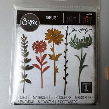 Tim Holtz Thinlits 664163 5 bloemen dies Sizzix euro 15,00 beschikbaar voor biedingen
