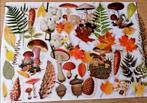 Grote herfst stickers transparant snailmail ephemera journal, Verzenden, Nieuw, Meerdere stickers
