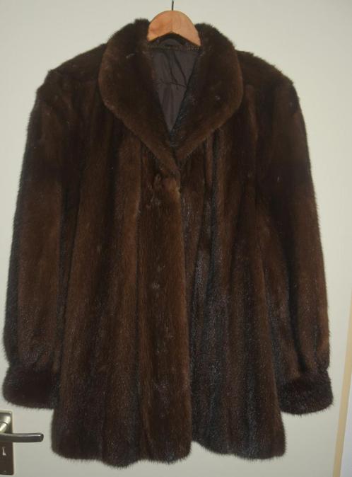 Korte Nerts bontjas jas maat L, Kleding | Dames, Jassen | Winter, Gedragen, Maat 42/44 (L), Bruin, Ophalen of Verzenden