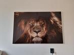 Glas schilderij - Leeuw, Ophalen, Zo goed als nieuw, Schilderij, 75 cm of meer
