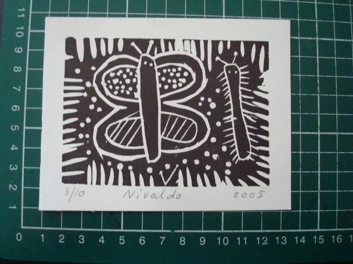 VINTAGE  GRAVURE VAN NIVALDO 2005, Antiek en Kunst, Kunst | Etsen en Gravures, Ophalen