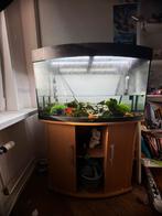 Aquarium met kast, Ophalen, Gebruikt, Verlichting of Verwarming