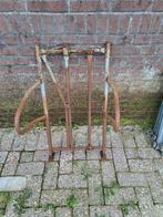 Overwenbox schaap, Vrouwelijk, Schaap