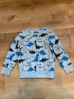 Trui blauw grijs dino maat 122, Ophalen of Verzenden, Zo goed als nieuw, Jongen, Trui of Vest