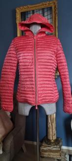 dames dons jack  rose Save The Duck maat 36/38, Nieuw, Ophalen of Verzenden, Save the duck, Roze