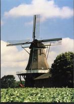 (OV116) Ansichtkaart molen Lattrop Oortmannmolen, Ongelopen, Overijssel, Verzenden, 1980 tot heden