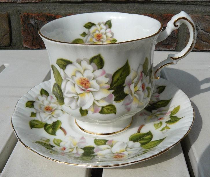Paragon Camelia Series, Polar Bear kop en schotel, England., Antiek en Kunst, Antiek | Servies los, Ophalen of Verzenden