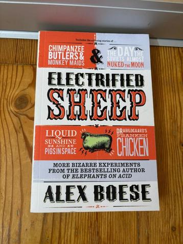 Electrified Sheep - Alex Boese beschikbaar voor biedingen