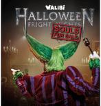 Walibi fright night 2 tickets 12 okt, Twee personen