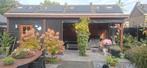 Veranda Overkapping met Schuur douglas, Ophalen, 200 tot 400 cm, Overige typen, Zo goed als nieuw