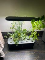 Hydrocultuur Systeem – Kweekset met LED-Belichting – Zwart, Tuin en Terras, Kweekspullen, Ophalen, Zo goed als nieuw, Kweekbak