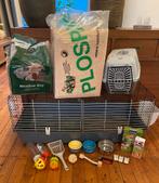 konijnenkooi / knaagdierenkooi met toebehoren, Kooi, Konijn, Ophalen, Minder dan 60 cm