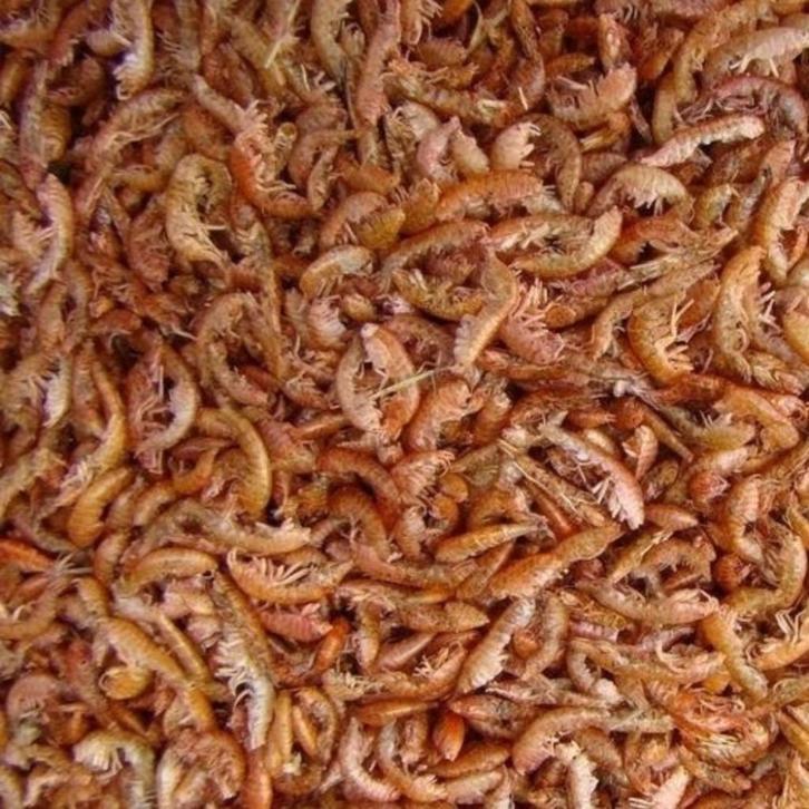 Vlokreeftjes - 5 Liter - Koi Snack - Natuurlijk koivoer, Tuin en Terras, Vijver-toebehoren, Nieuw, Overige typen, Ophalen of Verzenden