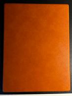 Remarkable Paper Pro case/cover, Computers en Software, Tekentablets, Verzenden, Zo goed als nieuw